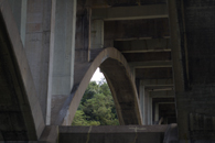 photo - click to enlarge
